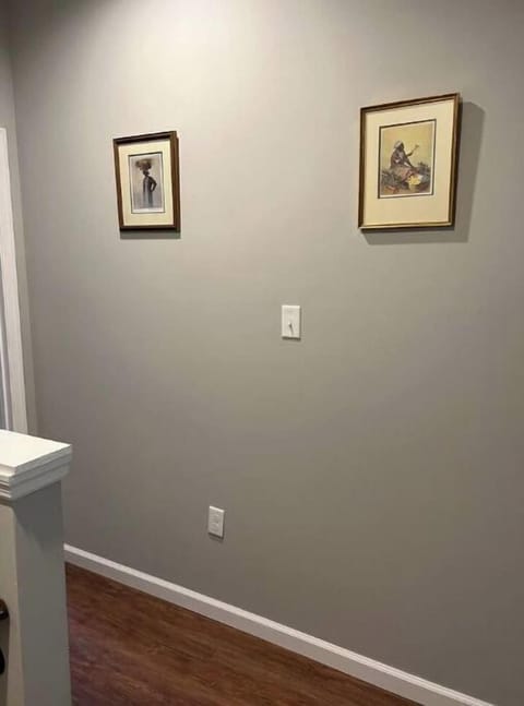 Charming 2BR Easy Access to VSU, SGMC & Downtown Apartment in Valdosta