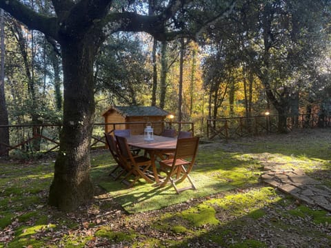 Spring, Day, Natural landscape, Garden, Garden view