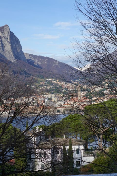 Lake view