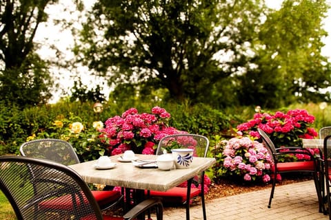 Garden, Garden view, Breakfast