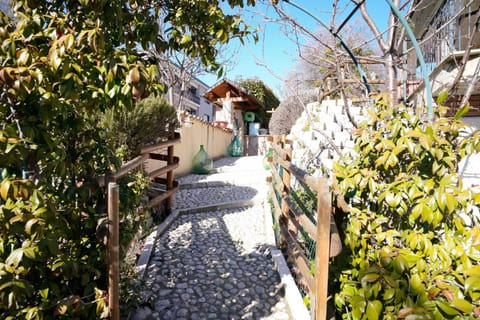 Spring, Day, Garden, Garden view