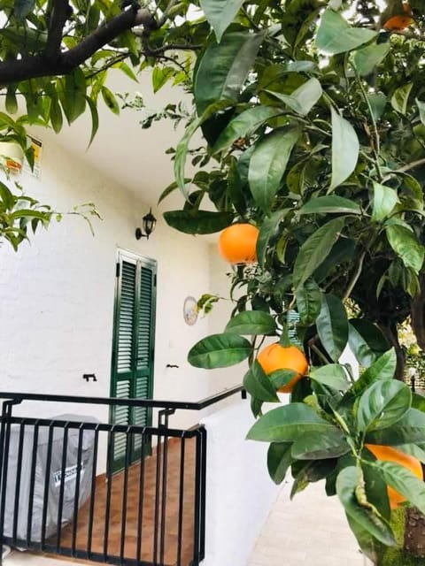 IL CANTO DELLE SIRENE - Seaside room Bed and Breakfast in Vieste