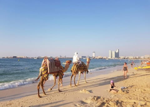 Al Marsa Residence- Ladies only- Dubai Marina Vacation rental in Dubai