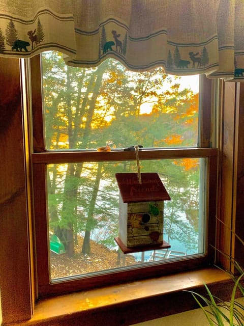 Lake Waukewan Camp in Meredith Apartment in Lake Waukewan