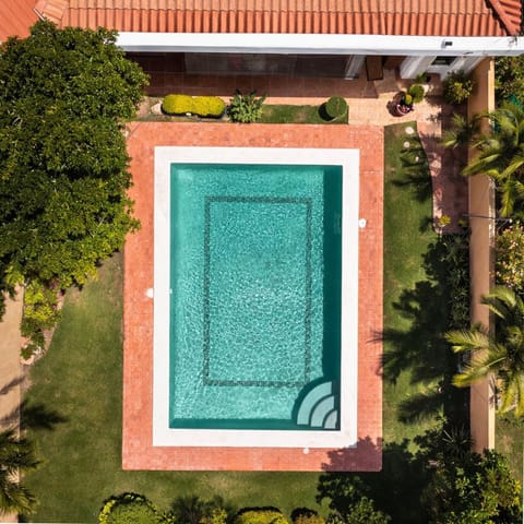 Bird's eye view, Garden, Garden view, Pool view, Swimming pool