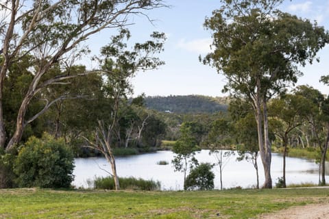 Day, River view