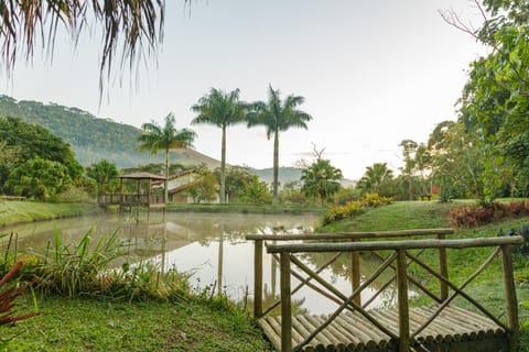 Natural landscape, Garden, Garden view, Lake view