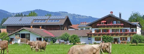 Property building, Day, Natural landscape, Animals, Mountain view