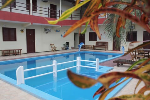 On site, Pool view, Area and facilities, Swimming pool