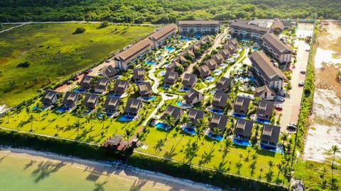 Bird's eye view, Sea view