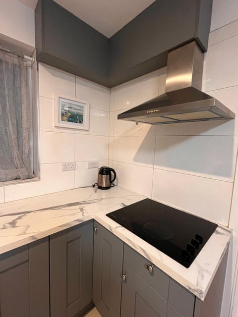 Phoenix Park Urban Studio 1 Apartment in Dublin