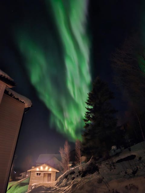 Apartment on the beautiful island of Senja Apartment in Nordland, Norway
