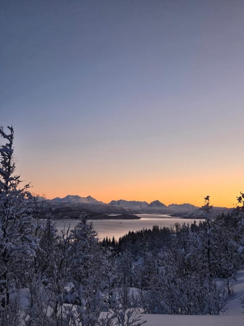 Apartment on the beautiful island of Senja Apartment in Nordland, Norway