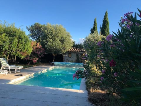 Garden, Pool view, Swimming pool, sunbed