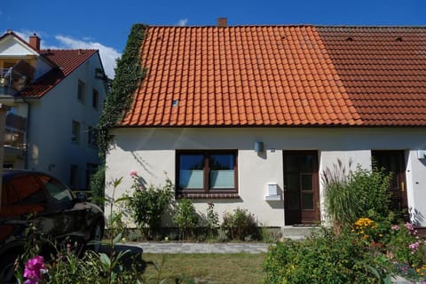 Property building, Spring, Day, Garden