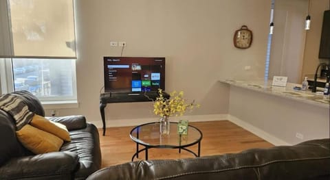 Renovated 3 Bedroom Chicago Downtown Pilsen Apartment in Lower West Side