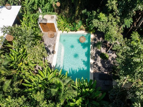 Day, Pool view, Swimming pool