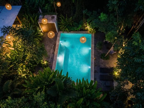 Night, Pool view, Swimming pool