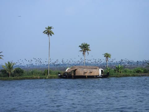 Natural landscape, Lake view