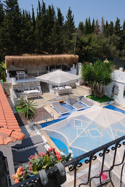 Patio, Spring, Day, Pool view, Swimming pool, sunbed