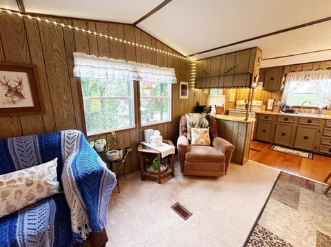 Grammie's Cozy Lakefront Cabin Cabin in Morristown