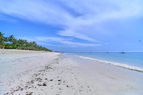 Natural landscape, Beach, Sea view