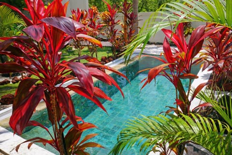 Day, Garden, Garden view, Pool view, Swimming pool
