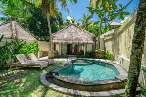 Patio, Garden, Swimming pool, sunbed