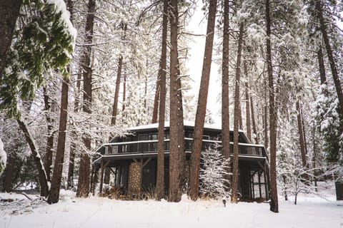 Wildland Treehaus Creekside Forest Retreat w Hot Tub & Wellness Yurt Pets OK House in Idyllwild-Pine Cove