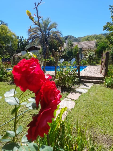 Garden view, Pool view