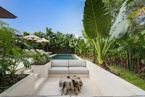 Day, Natural landscape, Garden, Garden view