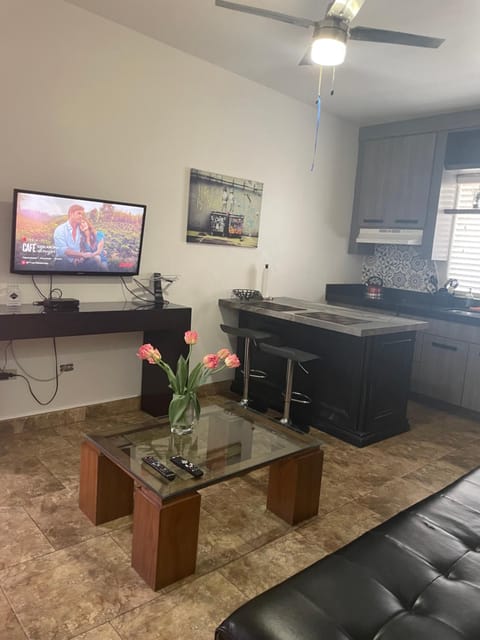 Loft B Apartment in Mexicali