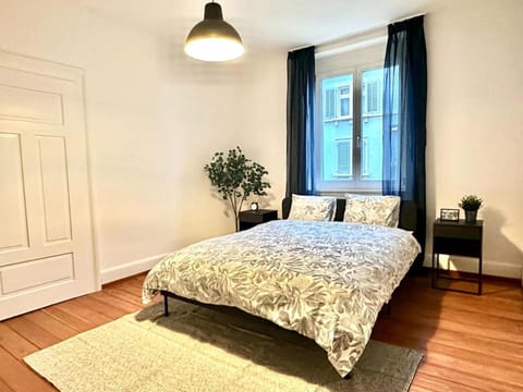 Elegant Seefeld Apt - Walk to Lake and Center Apartment in Zurich City