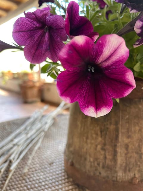 Arega Rooms Bed and Breakfast in Villasimius