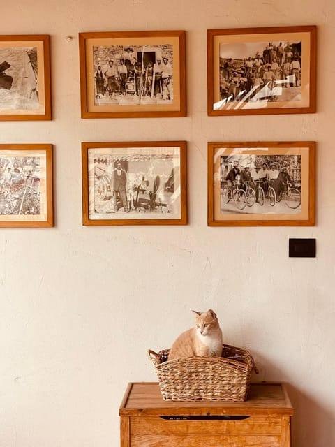 Arega Rooms Bed and Breakfast in Villasimius