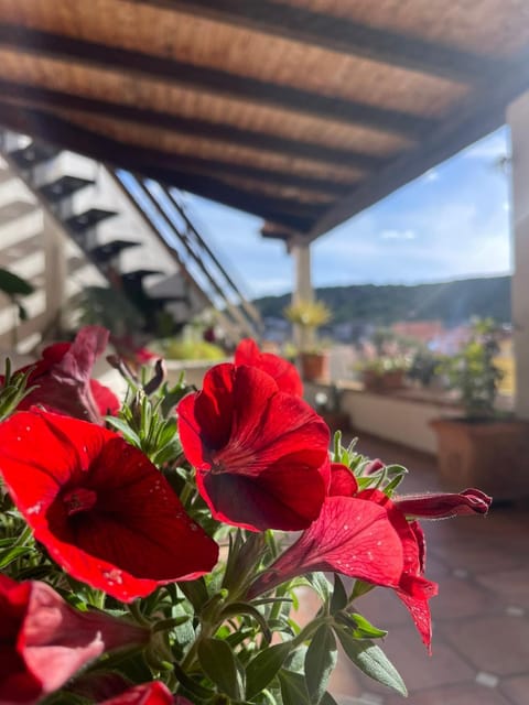 Balcony/Terrace, Garden view