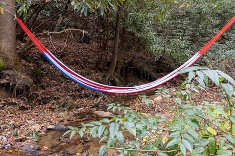 Creek side Mountain Perfect for Families ,We are just 5 to 7 minutes from the entrance of Pisgah Forest, where you ll find many rivers and waterfalls Villa in Mills River