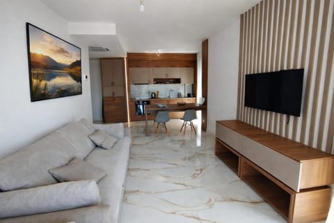 Communal lounge/ TV room, TV and multimedia, Kitchen or kitchenette, Living room, Seating area