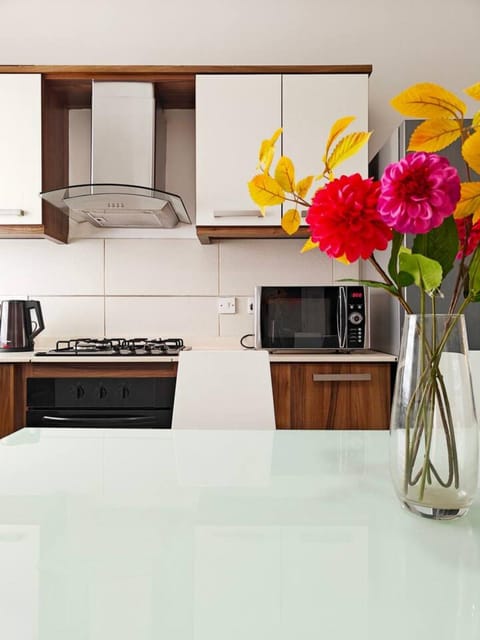 Kitchen or kitchenette, microwave, stove