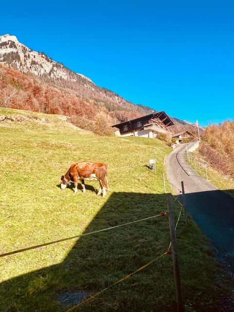 Property building, Facade/entrance, Summer