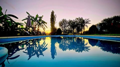 Day, Garden, Garden view, Pool view, Swimming pool