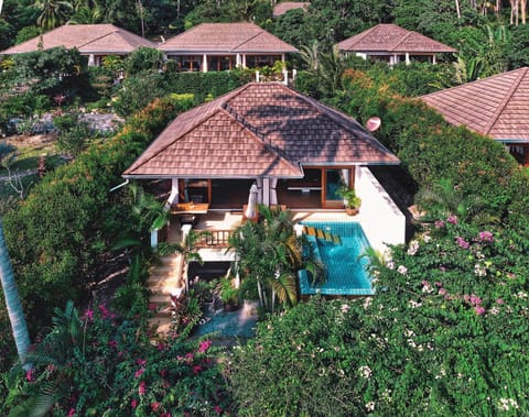 Day, Natural landscape, Garden, Garden view, Pool view, Swimming pool