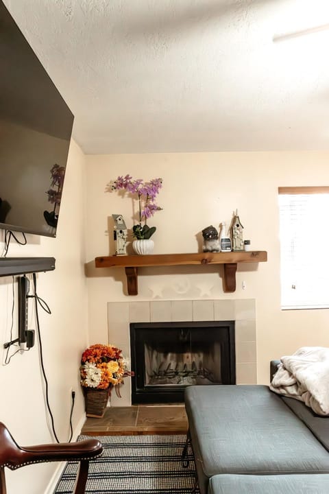 TV and multimedia, Living room, fireplace