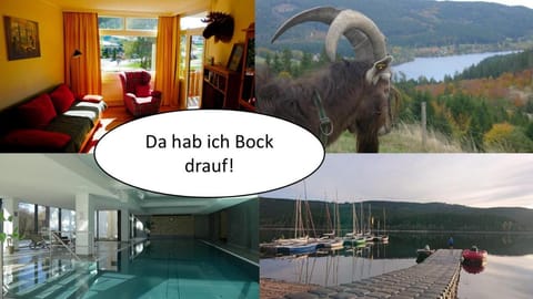 Natural landscape, Living room, Photo of the whole room, Mountain view, Swimming pool