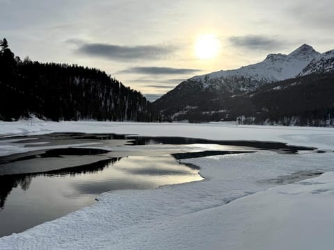 Alpenblick-Apartment mit Pool & Sauna Apartment in Saint Moritz