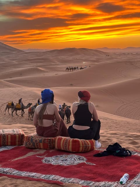 People, Sunset, group of guests