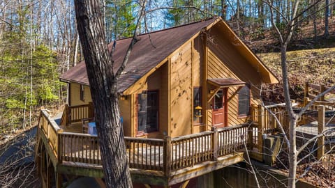 Crooked Lane Cabin Cabin in Tennessee
