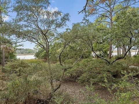 46 Sunlet Bend House in Kiawah Island