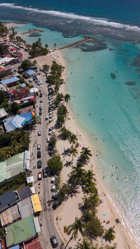Nearby landmark, Neighbourhood, Natural landscape, Bird's eye view, Beach, City view, Location