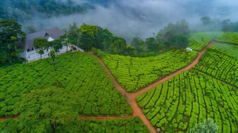 Natural landscape, Hiking
